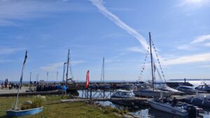 IMG 20250702 083825 300x169