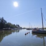 IMG 20250718 095559 150x150