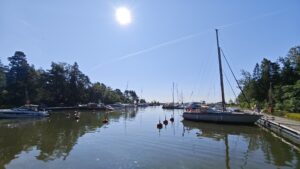 IMG 20250718 095559 300x169