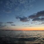 IMG 20250909 204221 150x150